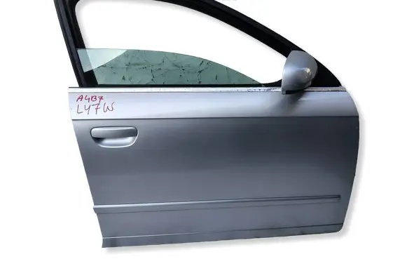 Audi A4 S4 B7 8E 8H Front door 