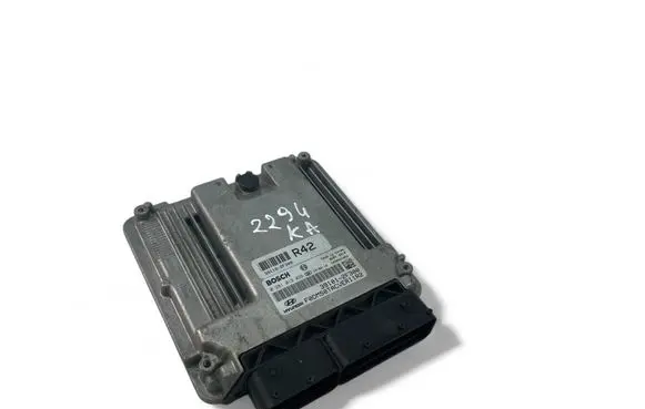 Hyundai Santa Fe Engine control unit/module ECU 391012F300 0281019026