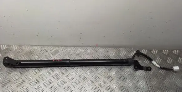 Tailgate/trunk strut/damper