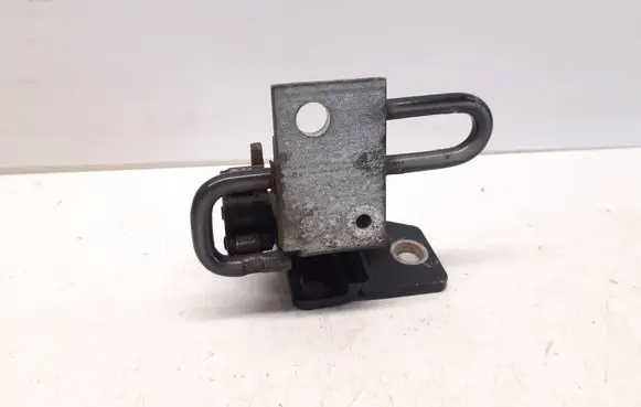 Volkswagen PASSAT B6 Front door lower hinge 
