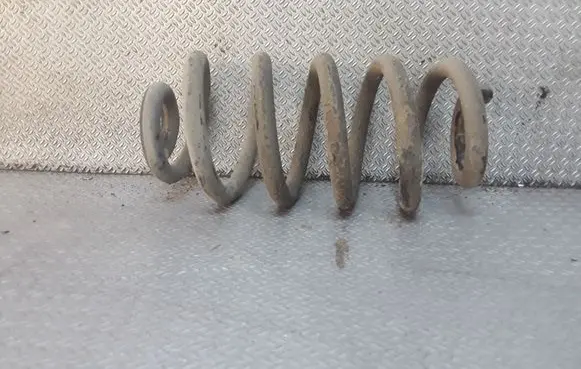 Rear coil spring