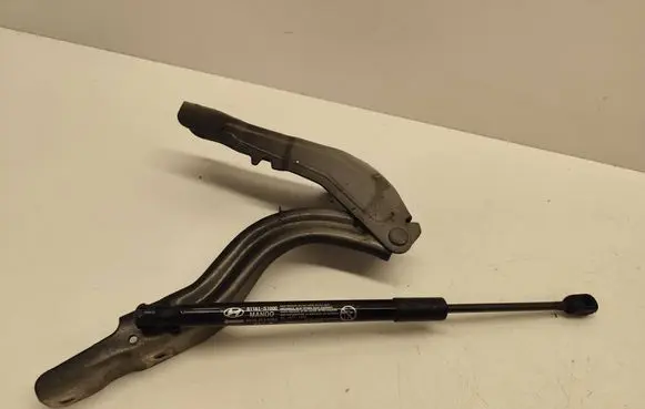 Front bonnet/hood damper/strut