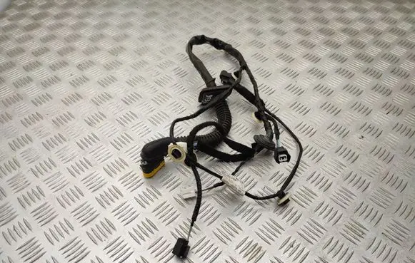 Renault Zoe Rear door wiring loom 241262795R