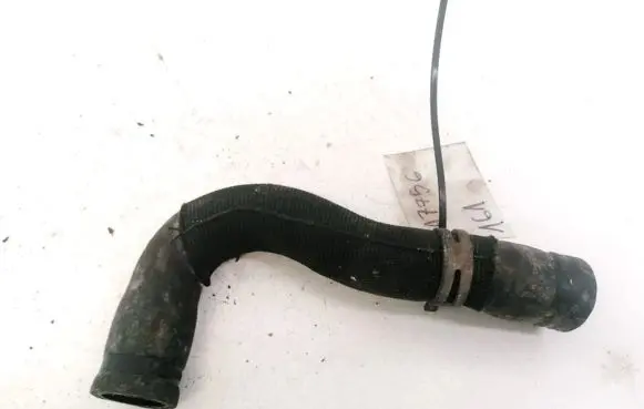 Citroen Berlingo Engine coolant pipe/hose