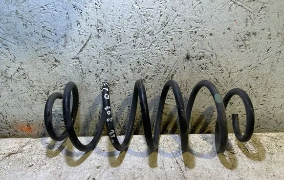 Rear coil spring