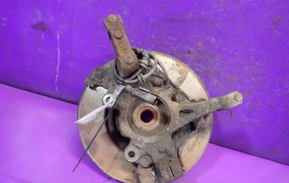 Fiat Punto (199) Front wheel hub spindle knuckle