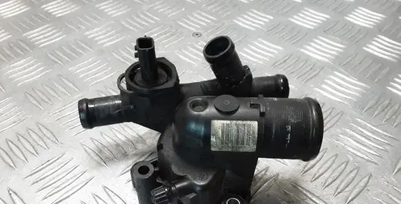 Thermostat/thermostat housing