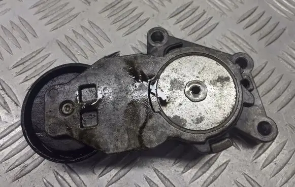 Peugeot 407 Alternator belt tensioner pulley 