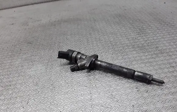Citroen C8 Fuel injector 0445110036