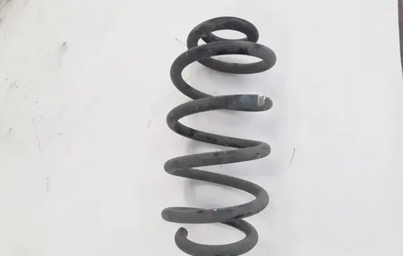 Renault Zoe Rear coil spring 550202131R