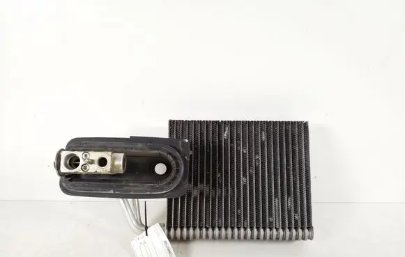 Mercedes-Benz SLK R171 Air conditioning (A/C) radiator (interior) A1718300058