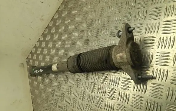 Tesla Model 3 Rear shock absorber/damper 134446200D