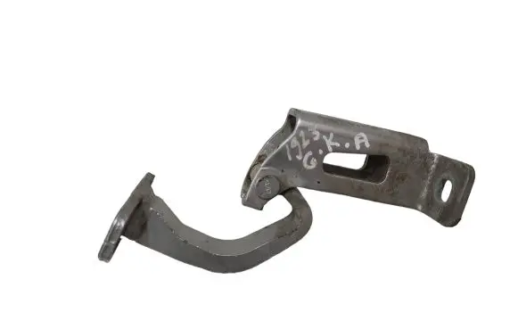 Dacia Logan I Rear door lower hinge 395978D