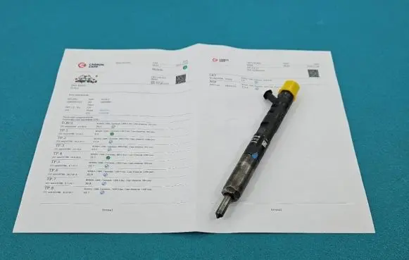 Renault Scenic II - Grand scenic II Fuel injector EJBR02101Z IMPRK1404582