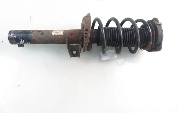 Volkswagen PASSAT B6 Front shock absorber with coil spring 3C0413031N