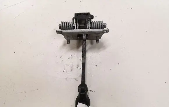 Citroen C4 Grand Picasso Front door check strap stopper