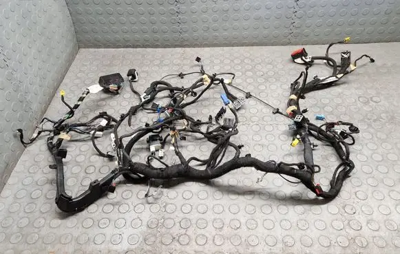 Ford Ecosport Panel wiring HN1514401