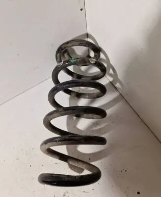 Rear coil spring