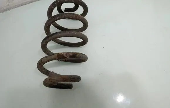 Rear coil spring