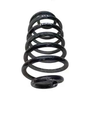 Rear coil spring