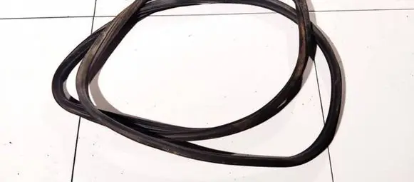 Peugeot 307 Rubber seal front coupe door 