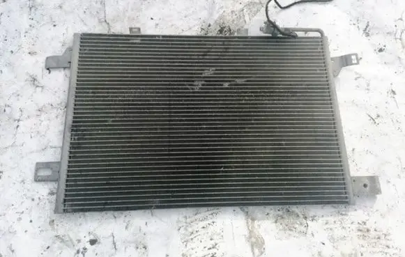 Mercedes-Benz A W169 A/C cooling radiator (condenser) A1695000354