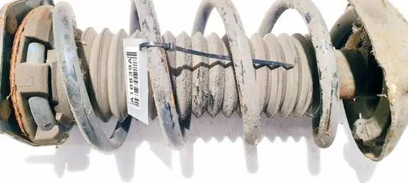 Honda CR-V Front coil spring 