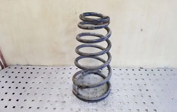 Rear coil spring