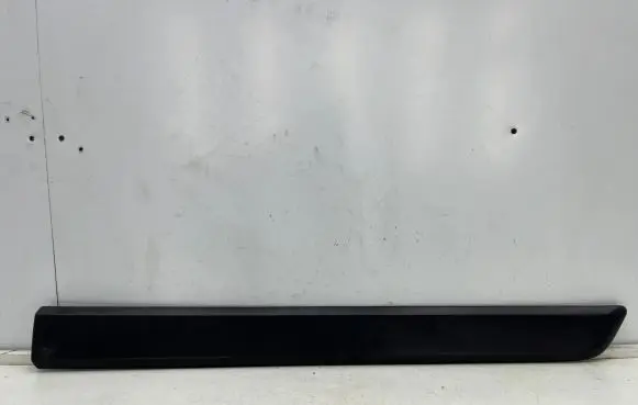 Front door trim (molding)