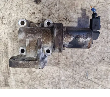 Hyundai H-1, Starex, Satellite EGR valve 284104A470