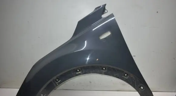 Fender