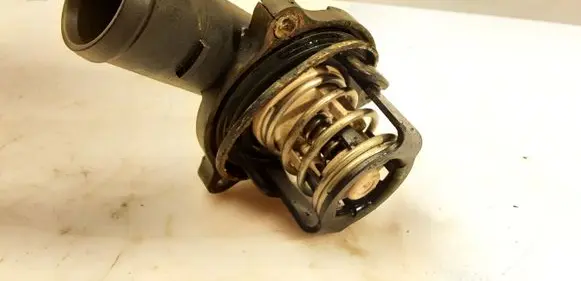Thermostat/thermostat housing