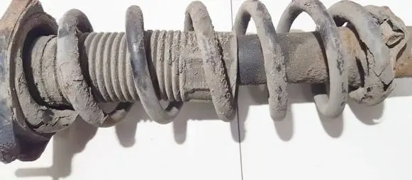 Toyota Corolla Verso AR10 Rear coil spring
