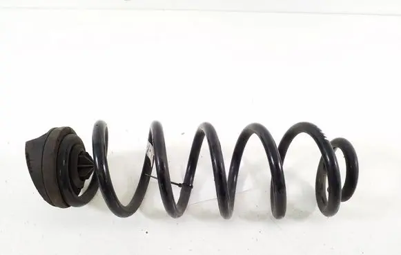 Rear coil spring