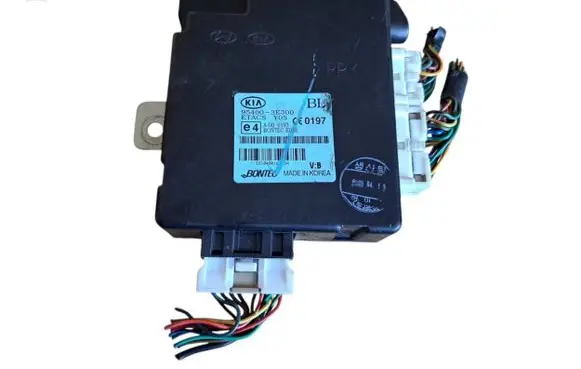 KIA Sorento Door central lock control unit/module 954003E300