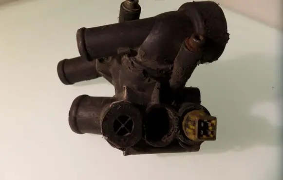 Thermostat/thermostat housing