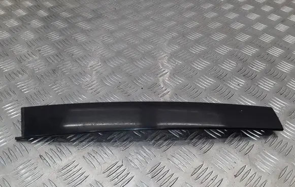 Honda Accord Front door glass trim molding 