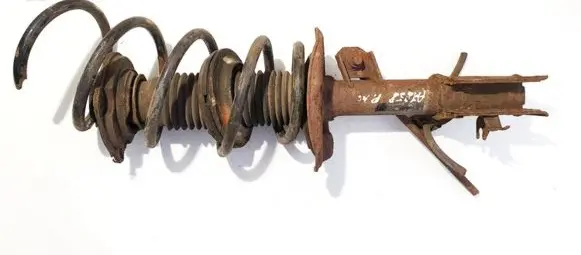 Nissan Qashqai Front shock absorber/damper 54303jd04a 824903007908