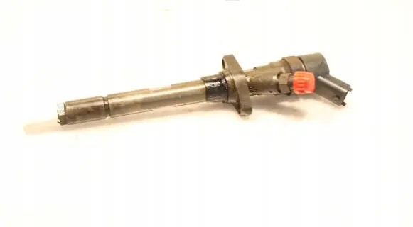 Citroen C5 Fuel injector 0445110036