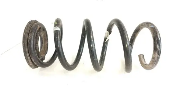 Rear coil spring
