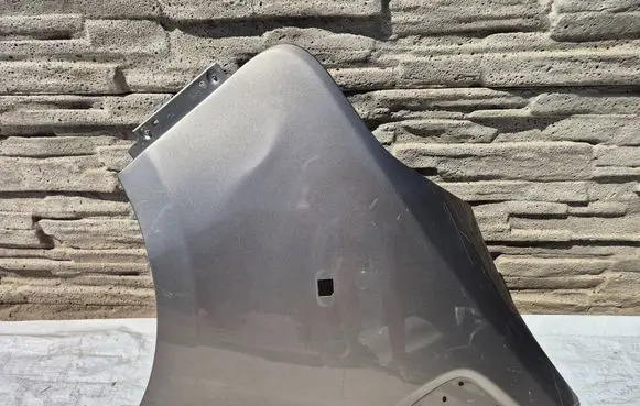 Renault Trafic III (X82) Fender 631014989R