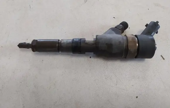 Peugeot 406 Fuel injector 9637536080 0445110044
