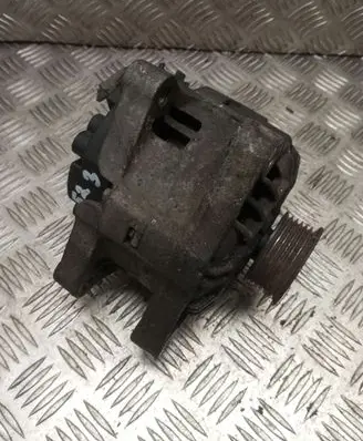 Peugeot 206 Generator/alternator 2541971 SG10B021