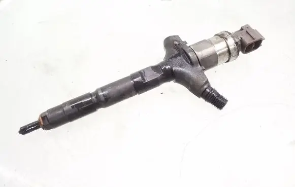 Opel Signum Fuel injector 8972391617