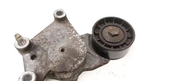 Citroen C3 Generator/alternator belt tensioner
