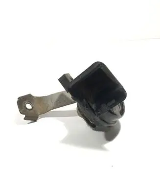 Horn signal
