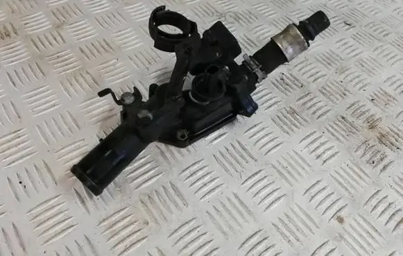 Thermostat/thermostat housing