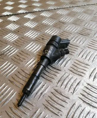 Citroen Berlingo Fuel injector 0445110062 9640088780