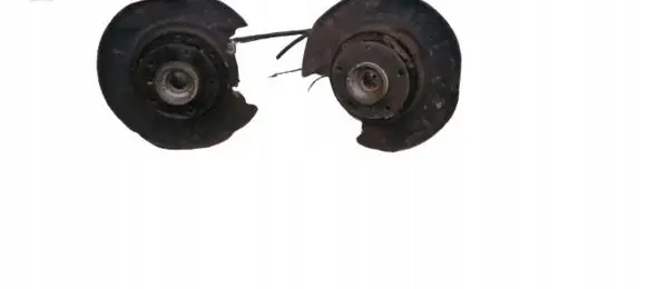 BMW 5 E39 Rear wheel hub spindle/knuckle E39ZWROT