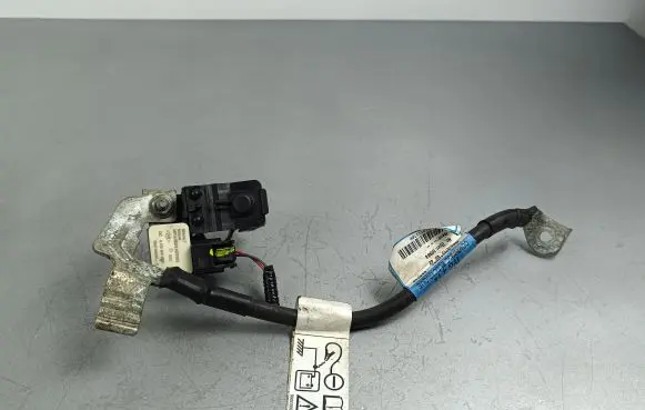 Dacia Jogger Negative earth cable (battery) A4209051300